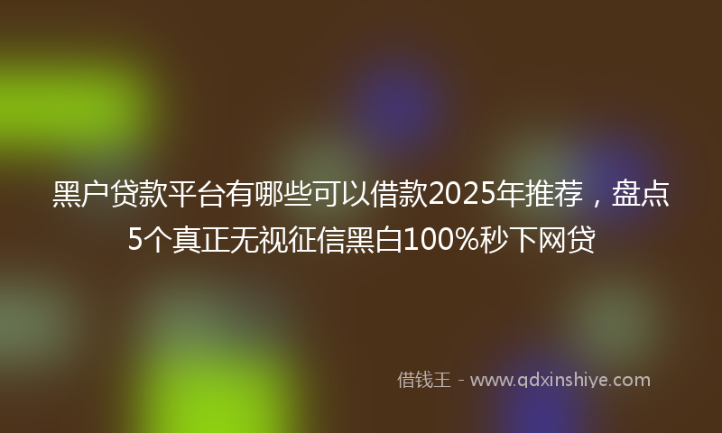 黑户贷款平台有哪些可以借款2025年推荐，盘点5个真正无视征信黑白100%秒下网贷