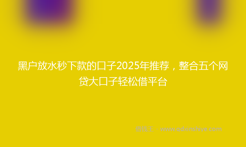 黑户放水秒下款的口子2025年推荐，整合五个网贷大口子轻松借平台