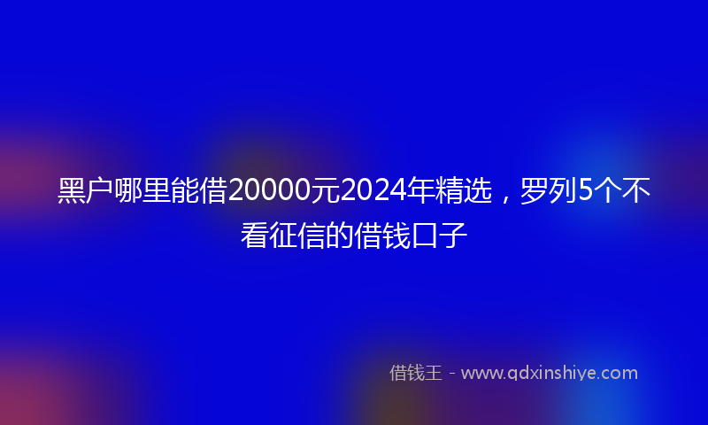 黑户哪里能借20000元2024年精选，罗列5个不看征信的借钱口子