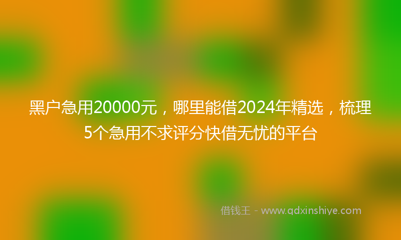 黑户急用20000元，哪里能借2024年精选，梳理5个急用不求评分快借无忧的平台