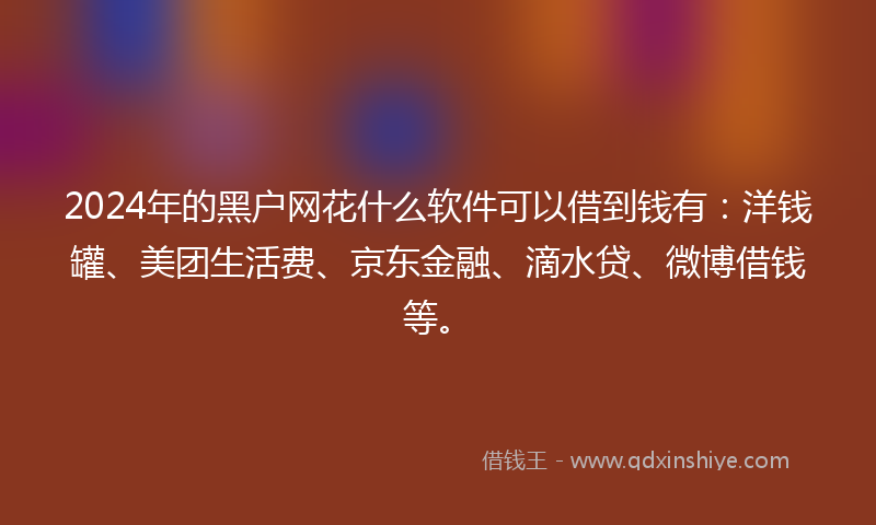2024年的黑户网花什么软件可以借到钱有：洋钱罐、美团生活费、京东金融、滴水贷、微博借钱等。