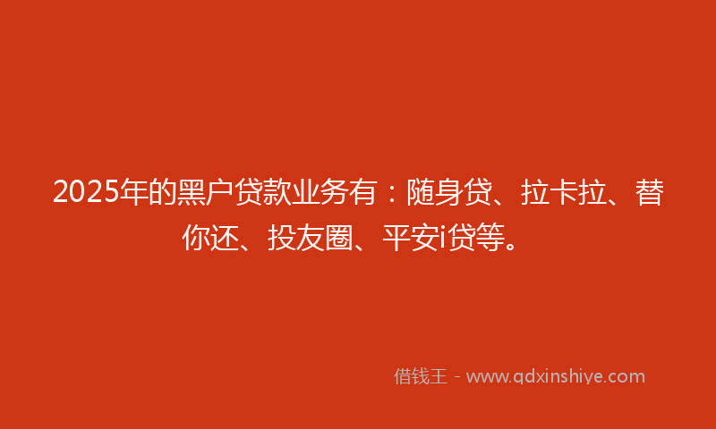 2025年的黑户贷款业务有：随身贷、拉卡拉、替你还、投友圈、平安i贷等。