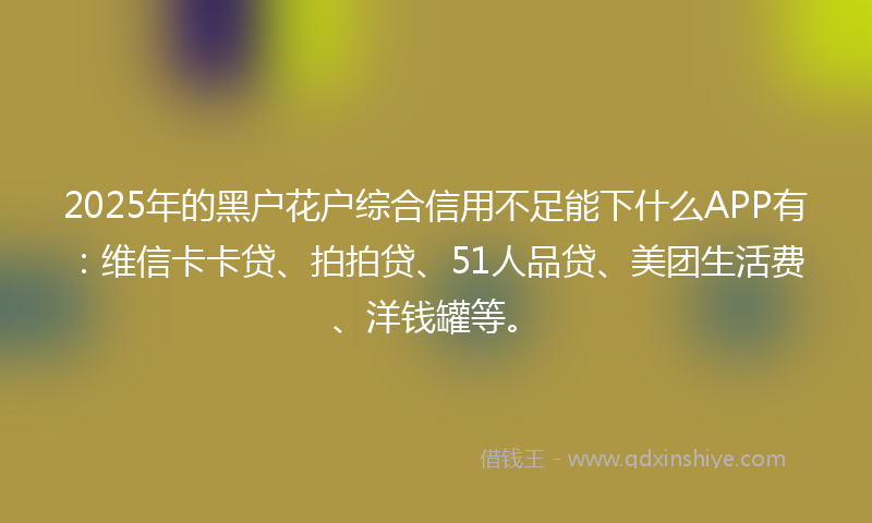 2025年的黑户花户综合信用不足能下什么APP有：维信卡卡贷、拍拍贷、51人品贷、美团生活费、洋钱罐等。