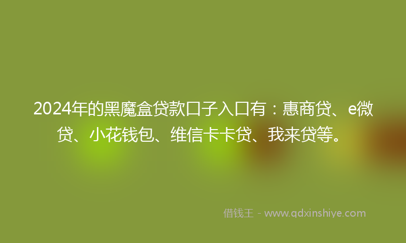 2024年的黑魔盒贷款口子入口有：惠商贷、e微贷、小花钱包、维信卡卡贷、我来贷等。