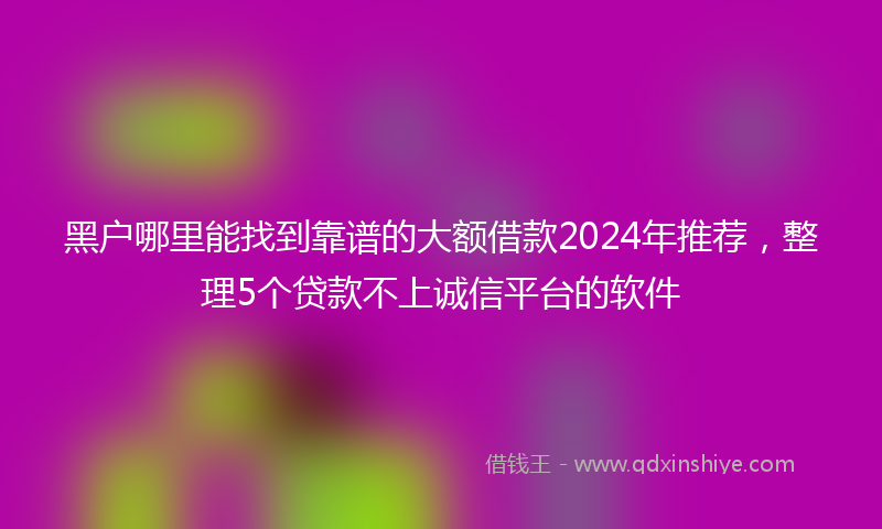 黑户哪里能找到靠谱的大额借款2024年推荐，整理5个贷款不上诚信平台的软件