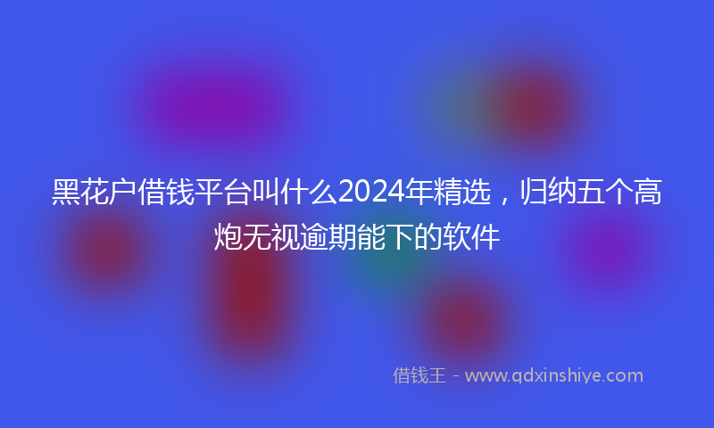 黑花户借钱平台叫什么2024年精选，归纳五个高炮无视逾期能下的软件