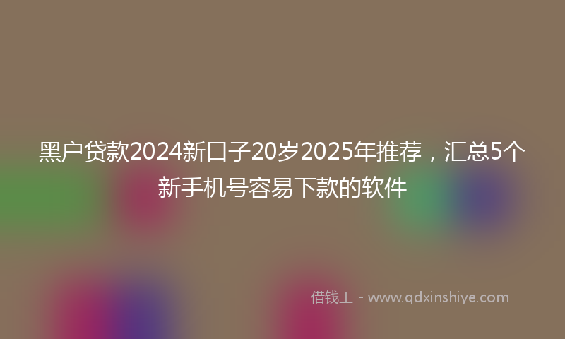 黑户贷款2024新口子20岁2025年推荐，汇总5个新手机号容易下款的软件