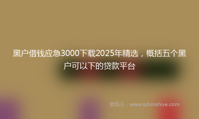 黑户借钱应急3000下载2025年精选，概括五个黑户可以下的贷款平台