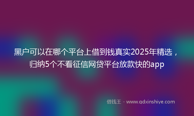 黑户可以在哪个平台上借到钱真实2025年精选，归纳5个不看征信网贷平台放款快的app