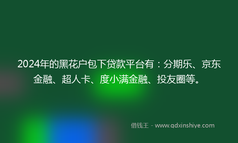 2024年的黑花户包下贷款平台有：分期乐、京东金融、超人卡、度小满金融、投友圈等。