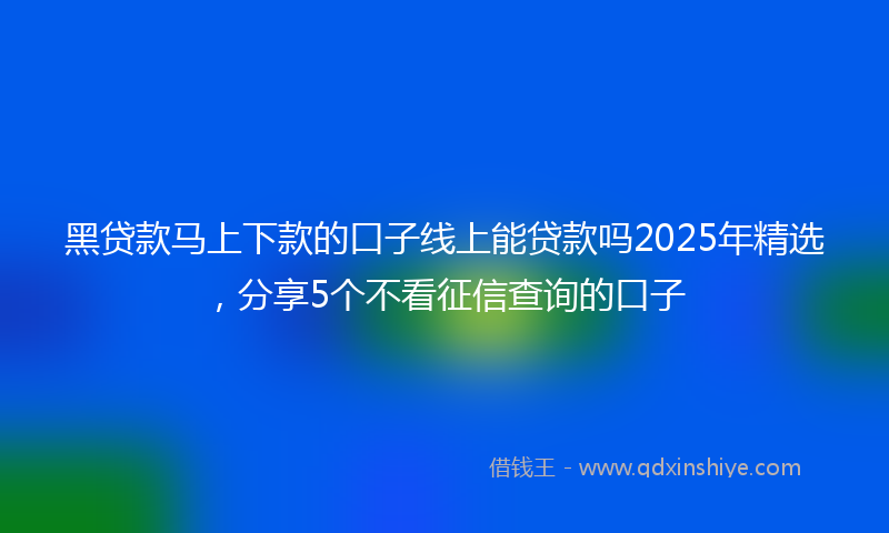 黑贷款马上下款的口子线上能贷款吗2025年精选，分享5个不看征信查询的口子
