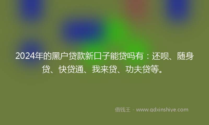 2024年的黑户贷款新口子能贷吗有：还呗、随身贷、快贷通、我来贷、功夫贷等。