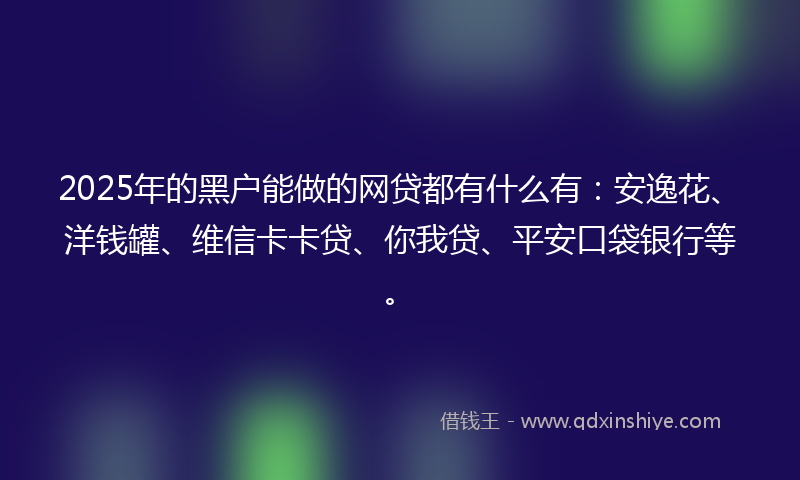 2025年的黑户能做的网贷都有什么有：安逸花、洋钱罐、维信卡卡贷、你我贷、平安口袋银行等。
