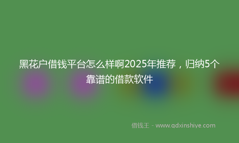 黑花户借钱平台怎么样啊2025年推荐，归纳5个靠谱的借款软件