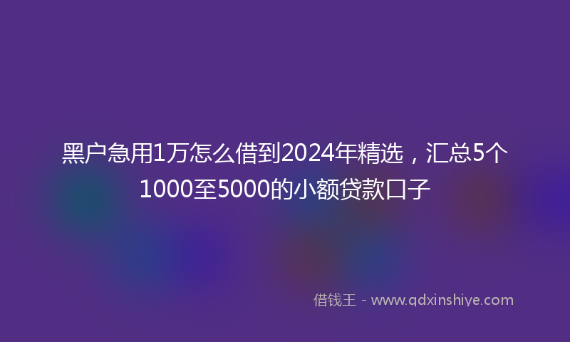 黑户急用1万怎么借到2024年精选，汇总5个1000至5000的小额贷款口子