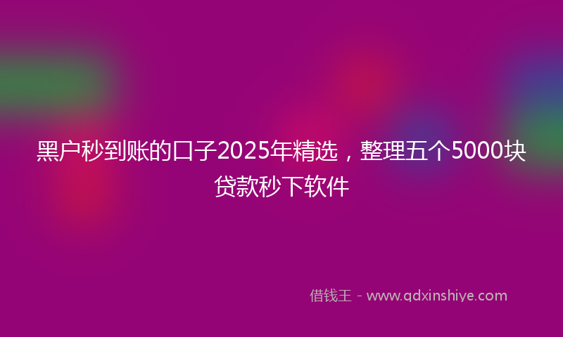 黑户秒到账的口子2025年精选，整理五个5000块贷款秒下软件