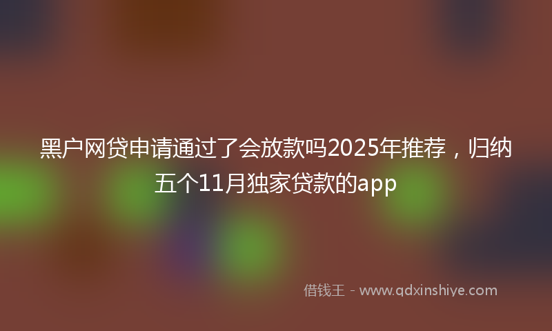 黑户网贷申请通过了会放款吗2025年推荐，归纳五个11月独家贷款的app