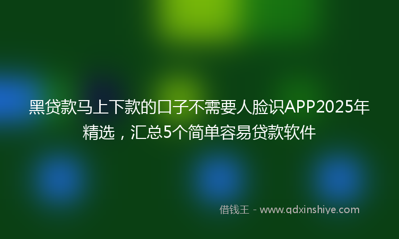 黑贷款马上下款的口子不需要人脸识APP2025年精选，汇总5个简单容易贷款软件
