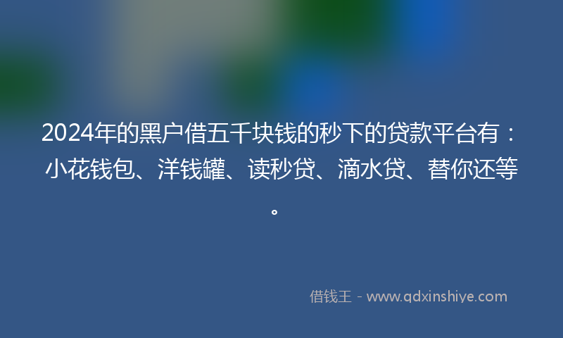 2024年的黑户借五千块钱的秒下的贷款平台有：小花钱包、洋钱罐、读秒贷、滴水贷、替你还等。