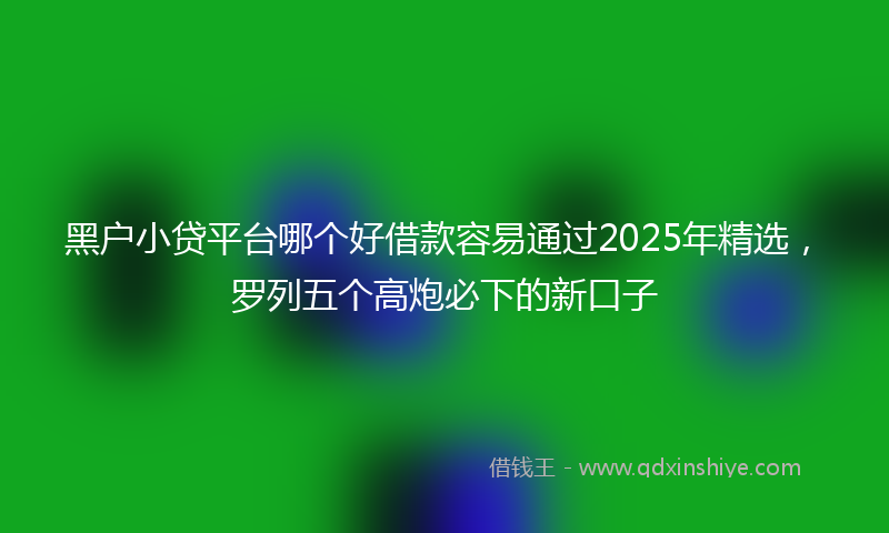 黑户小贷平台哪个好借款容易通过2025年精选，罗列五个高炮必下的新口子