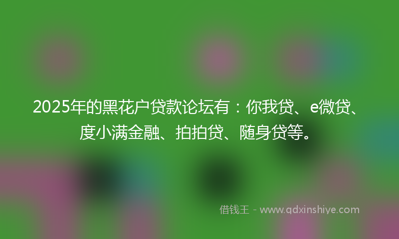2025年的黑花户贷款论坛有：你我贷、e微贷、度小满金融、拍拍贷、随身贷等。