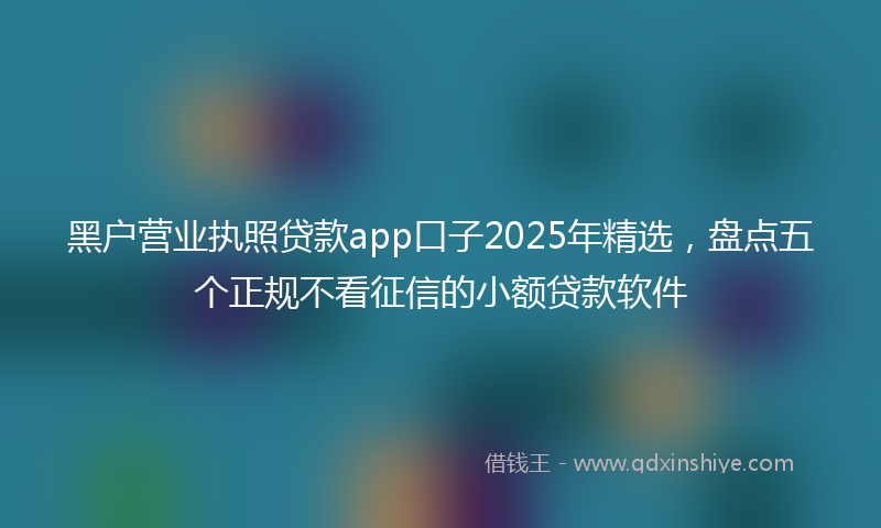 黑户营业执照贷款app口子2025年精选，盘点五个正规不看征信的小额贷款软件