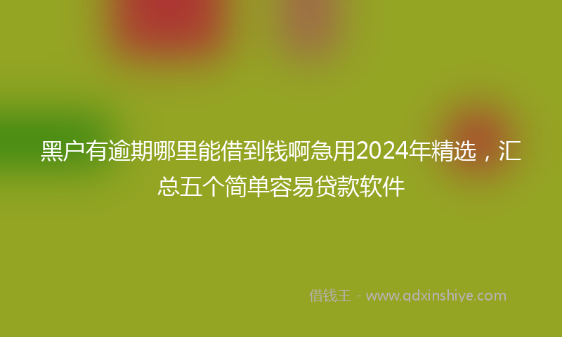 黑户有逾期哪里能借到钱啊急用2024年精选，汇总五个简单容易贷款软件