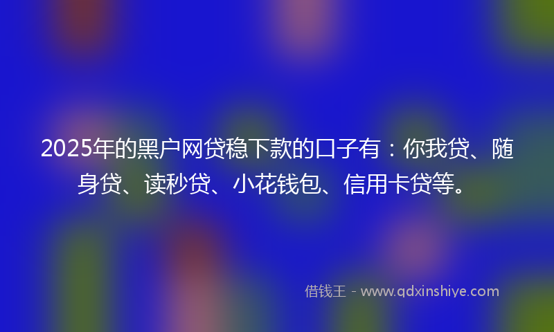 2025年的黑户网贷稳下款的口子有：你我贷、随身贷、读秒贷、小花钱包、信用卡贷等。
