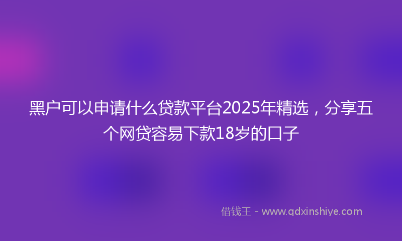 黑户可以申请什么贷款平台2025年精选，分享五个网贷容易下款18岁的口子