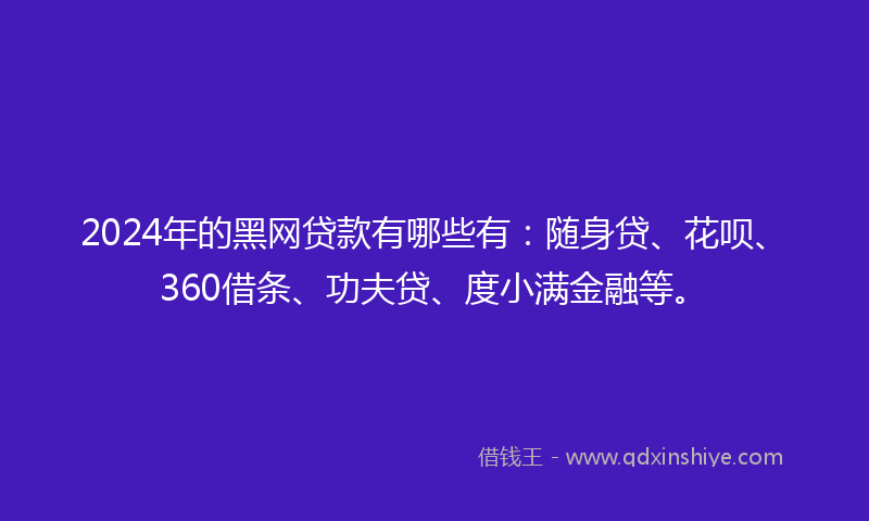 2024年的黑网贷款有哪些有：随身贷、花呗、360借条、功夫贷、度小满金融等。