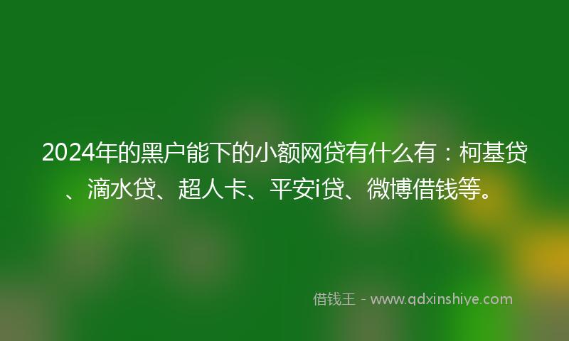 2024年的黑户能下的小额网贷有什么有：柯基贷、滴水贷、超人卡、平安i贷、微博借钱等。