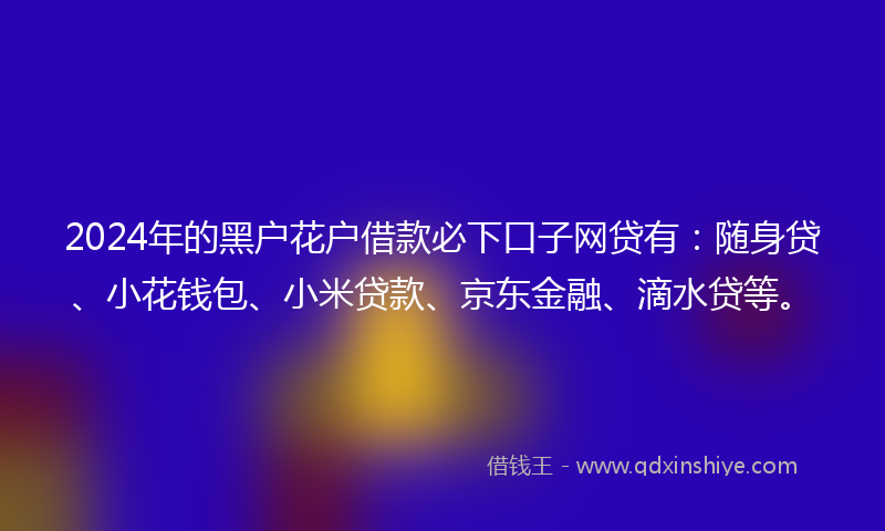 2024年的黑户花户借款必下口子网贷有：随身贷、小花钱包、小米贷款、京东金融、滴水贷等。