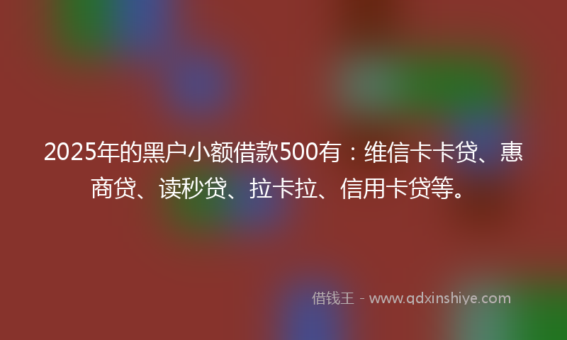 2025年的黑户小额借款500有：维信卡卡贷、惠商贷、读秒贷、拉卡拉、信用卡贷等。
