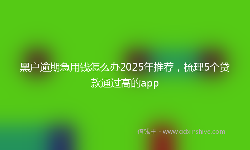 黑户逾期急用钱怎么办2025年推荐，梳理5个贷款通过高的app