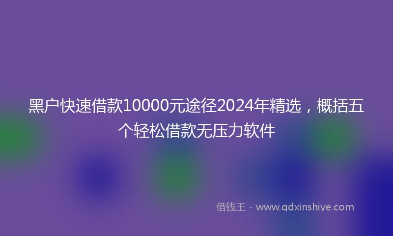 黑户快速借款10000元途径2024年精选，概括五个轻松借款无压力软件
