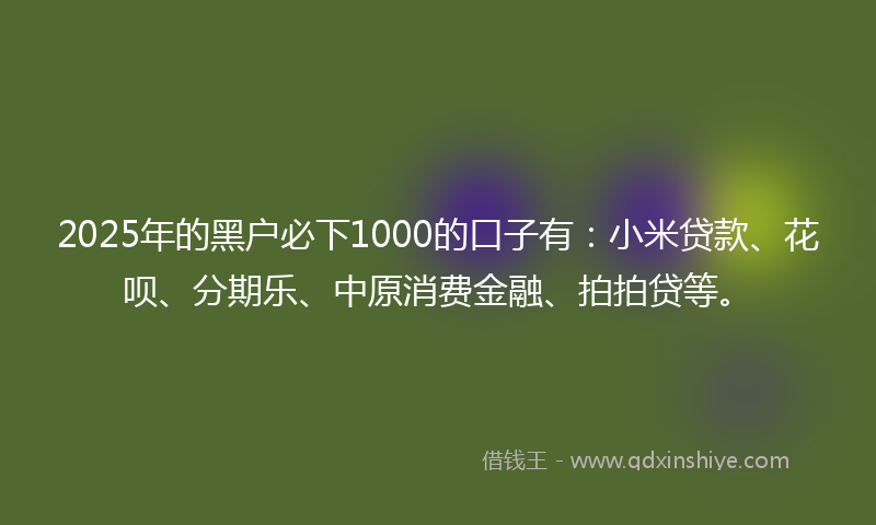 2025年的黑户必下1000的口子有：小米贷款、花呗、分期乐、中原消费金融、拍拍贷等。