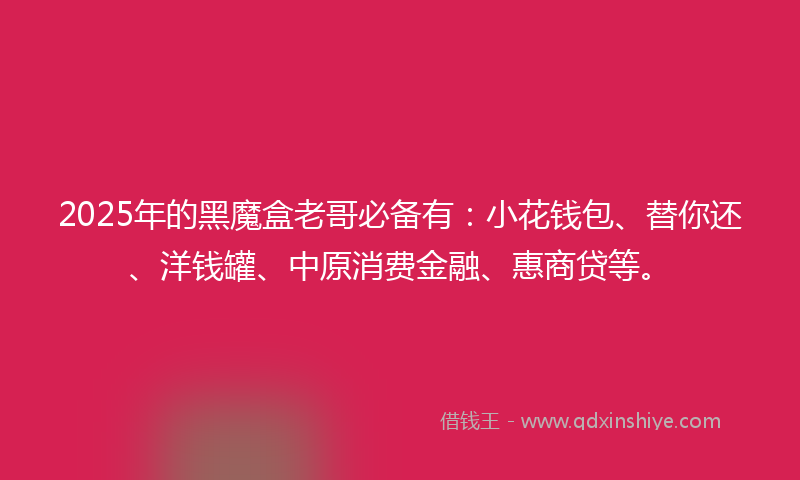 2025年的黑魔盒老哥必备有：小花钱包、替你还、洋钱罐、中原消费金融、惠商贷等。