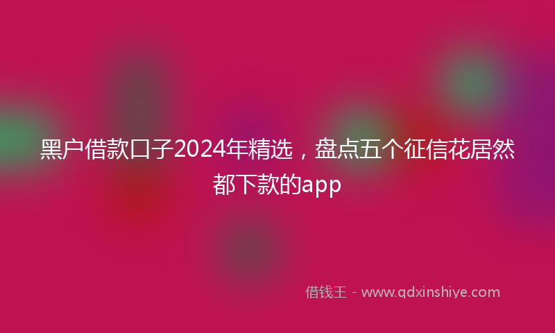 黑户借款口子2024年精选，盘点五个征信花居然都下款的app