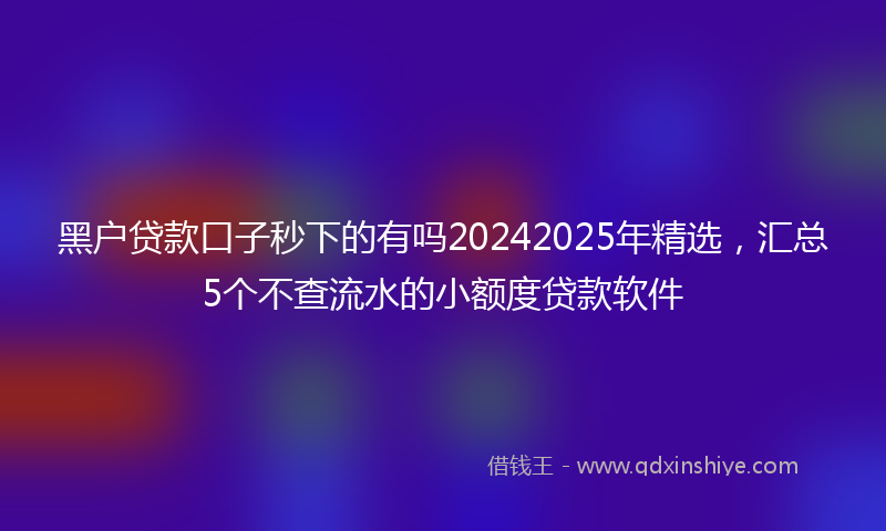 黑户贷款口子秒下的有吗20242025年精选，汇总5个不查流水的小额度贷款软件