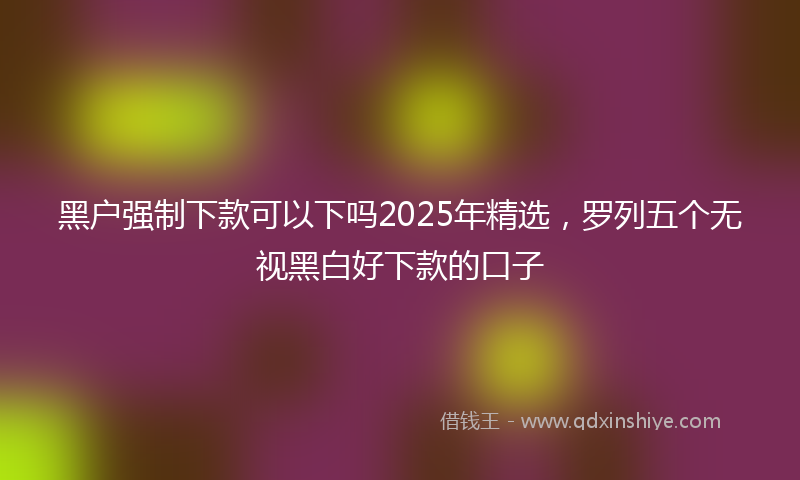 黑户强制下款可以下吗2025年精选，罗列五个无视黑白好下款的口子