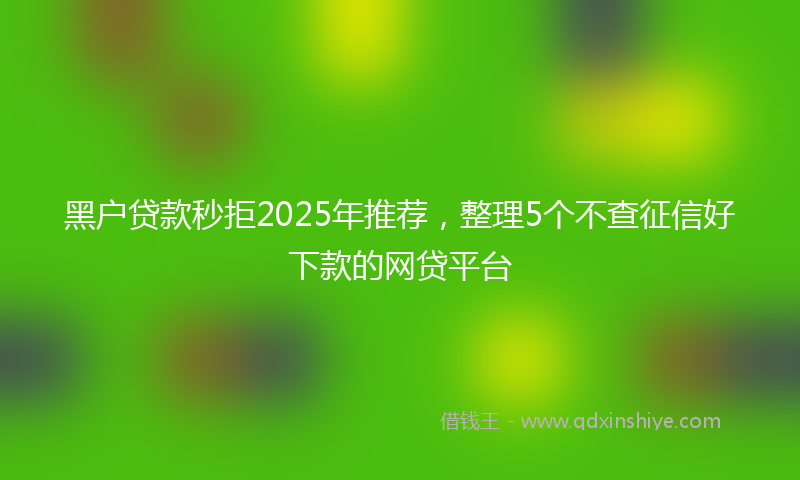 黑户贷款秒拒2025年推荐，整理5个不查征信好下款的网贷平台