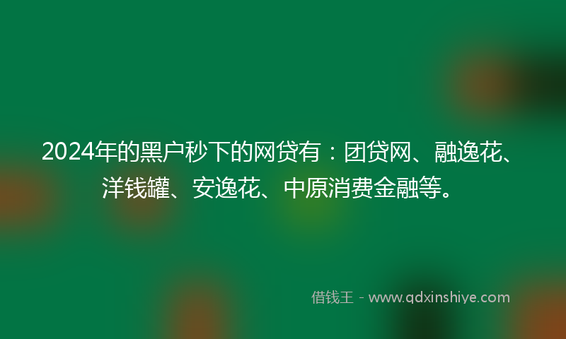 2024年的黑户秒下的网贷有：团贷网、融逸花、洋钱罐、安逸花、中原消费金融等。