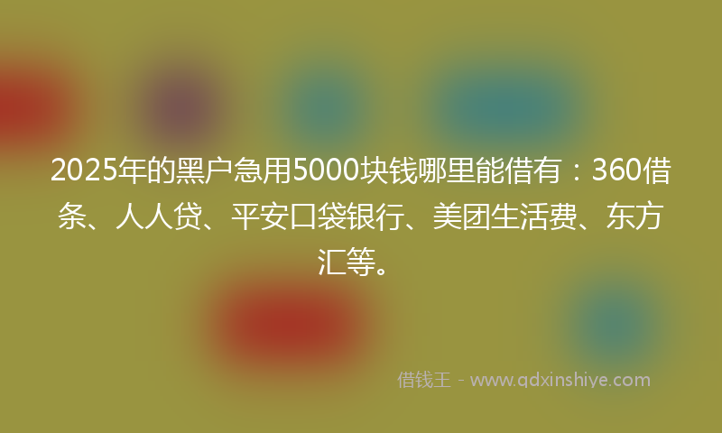 2025年的黑户急用5000块钱哪里能借有：360借条、人人贷、平安口袋银行、美团生活费、东方汇等。
