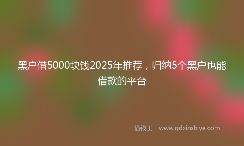 黑户借5000块钱2025年推荐，归纳5个黑户也能借款的平台