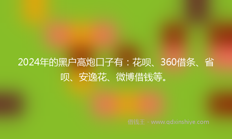 2024年的黑户高炮口子有：花呗、360借条、省呗、安逸花、微博借钱等。