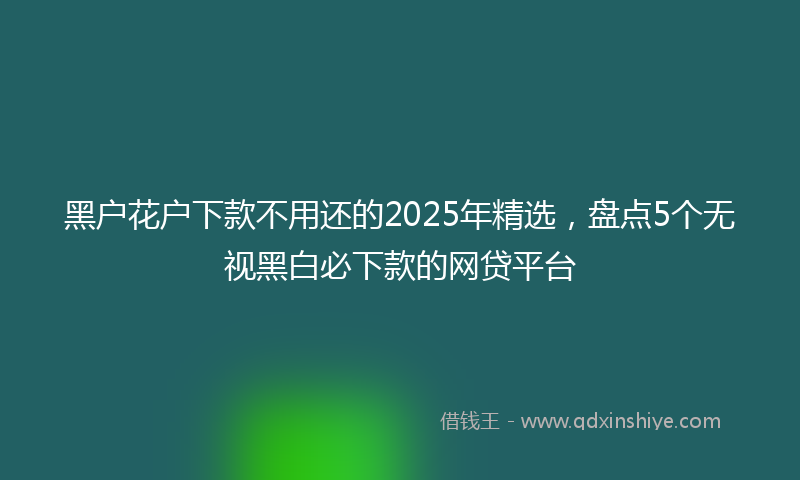 黑户花户下款不用还的2025年精选，盘点5个无视黑白必下款的网贷平台