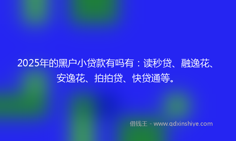 2025年的黑户小贷款有吗有：读秒贷、融逸花、安逸花、拍拍贷、快贷通等。