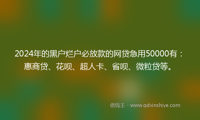 2024年的黑户烂户必放款的网贷急用50000有：惠商贷、花呗、超人卡、省呗、微粒贷等。