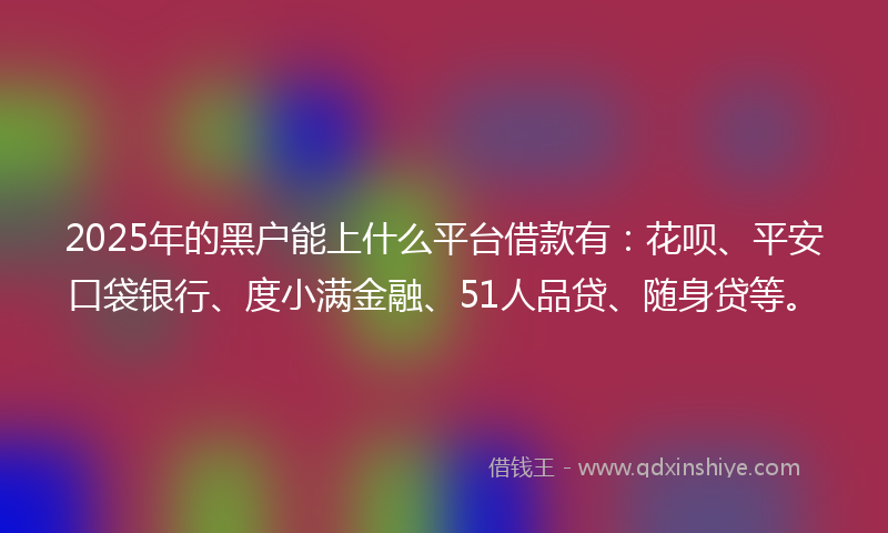2025年的黑户能上什么平台借款有：花呗、平安口袋银行、度小满金融、51人品贷、随身贷等。