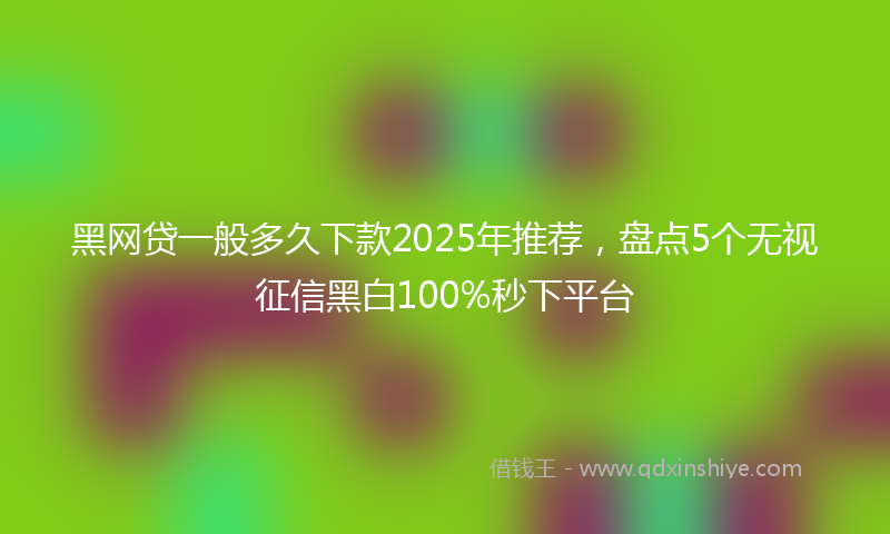 黑网贷一般多久下款2025年推荐，盘点5个无视征信黑白100%秒下平台